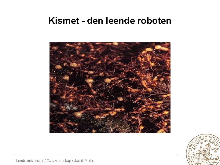 Kismet - den leende roboten Lunds universitet / Datavetenskap / Jacek Malec 