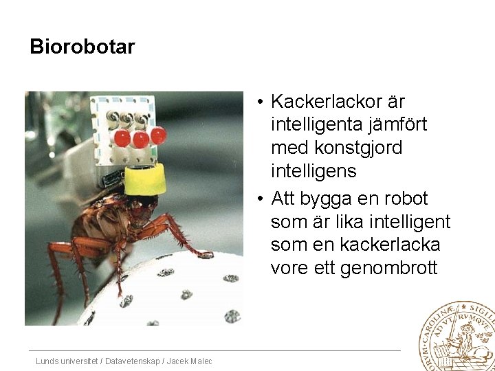 Biorobotar • Kackerlackor är intelligenta jämfört med konstgjord intelligens • Att bygga en robot