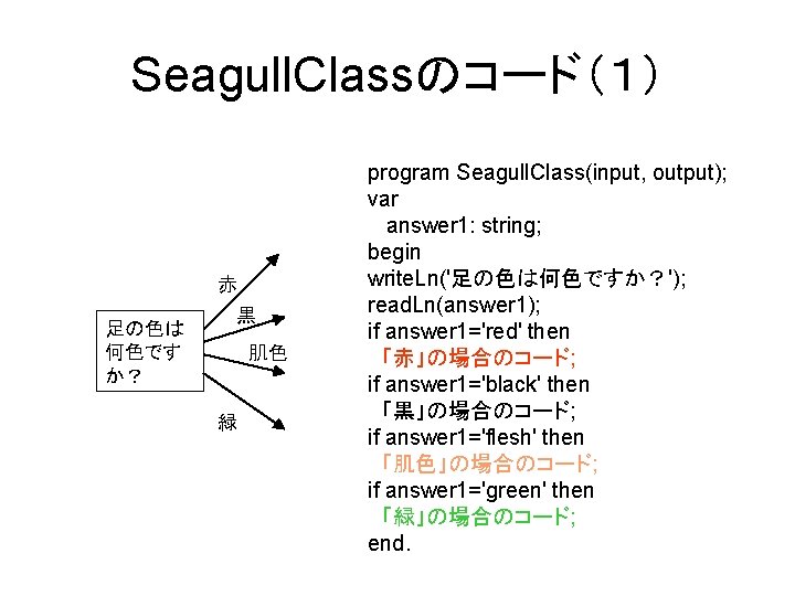 Seagull. Classのコード（１） 赤 足の色は 何色です か？ 黒 肌色 緑 program Seagull. Class(input, output); var