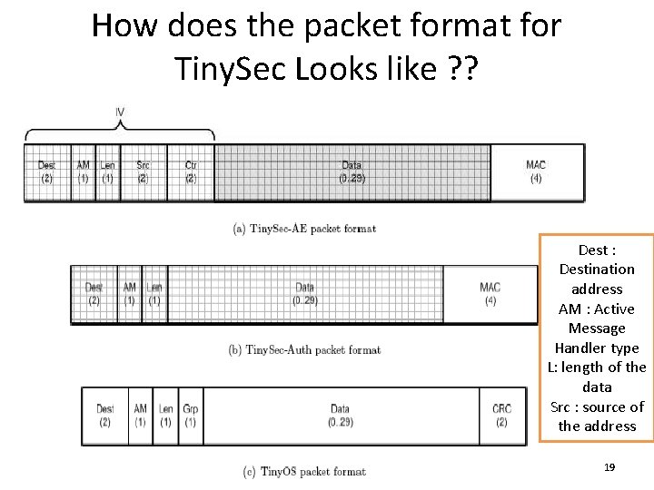 How does the packet format for Tiny. Sec Looks like ? ? Dest :