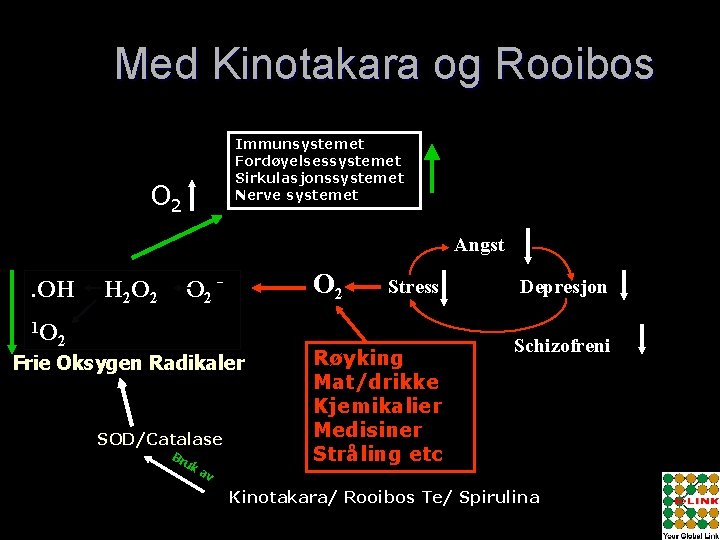 Med Kinotakara og Rooibos Immunsystemet Fordøyelsessystemet Sirkulasjonssystemet Nerve systemet O 2 Angst . OH