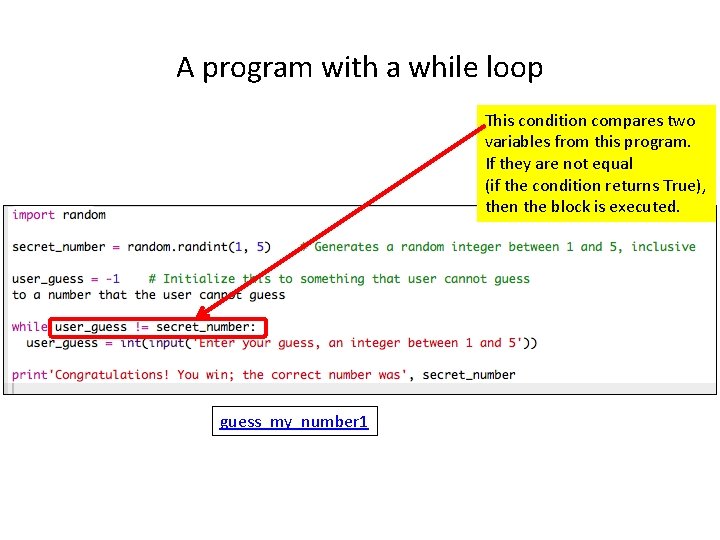 A program with a while loop This condition compares two variables from this program.