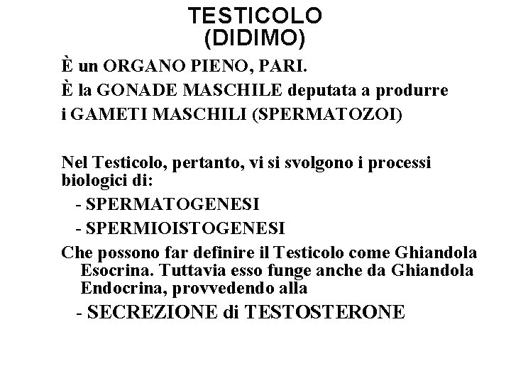 TESTICOLO (DIDIMO) È un ORGANO PIENO, PARI. È la GONADE MASCHILE deputata a produrre