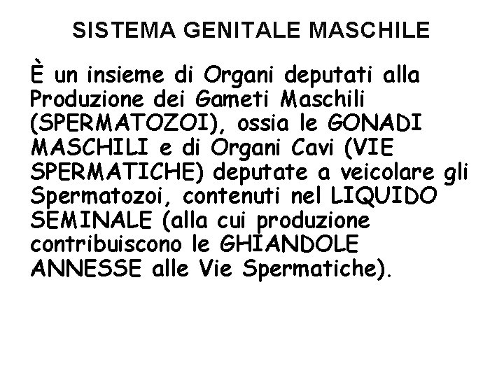 SISTEMA GENITALE MASCHILE È un insieme di Organi deputati alla Produzione dei Gameti Maschili