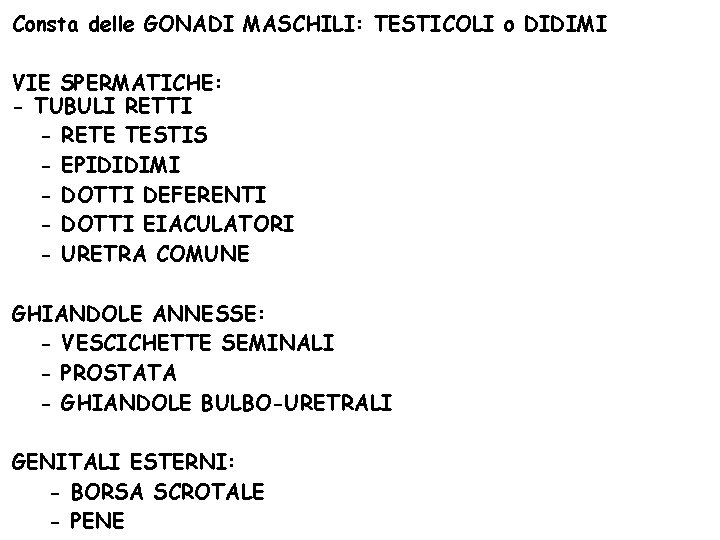 Consta delle GONADI MASCHILI: TESTICOLI o DIDIMI VIE SPERMATICHE: - TUBULI RETTI - RETE