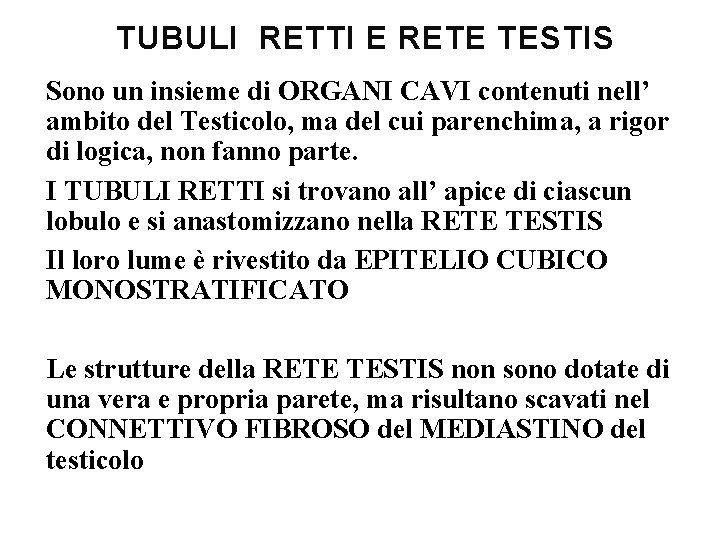 TUBULI RETTI E RETE TESTIS Sono un insieme di ORGANI CAVI contenuti nell’ ambito