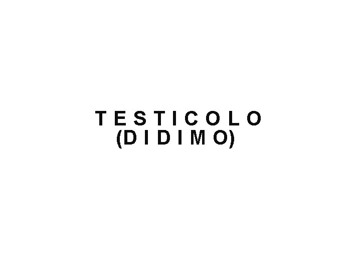 TESTICOLO (D I M O) 
