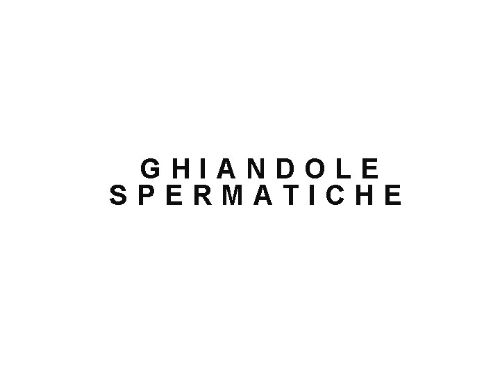 GHIANDOLE SPERMATICHE 