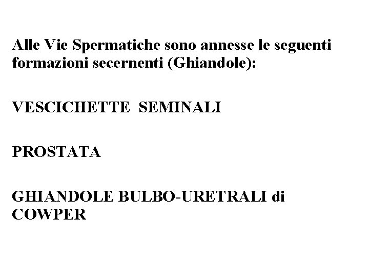 Alle Vie Spermatiche sono annesse le seguenti formazioni secernenti (Ghiandole): VESCICHETTE SEMINALI PROSTATA GHIANDOLE