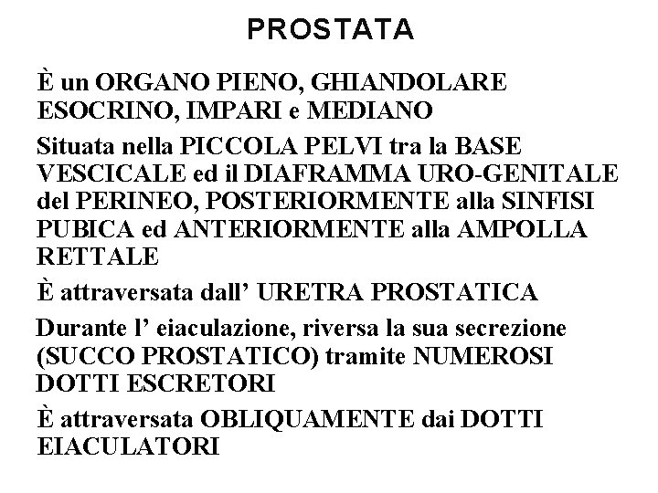 PROSTATA È un ORGANO PIENO, GHIANDOLARE ESOCRINO, IMPARI e MEDIANO Situata nella PICCOLA PELVI