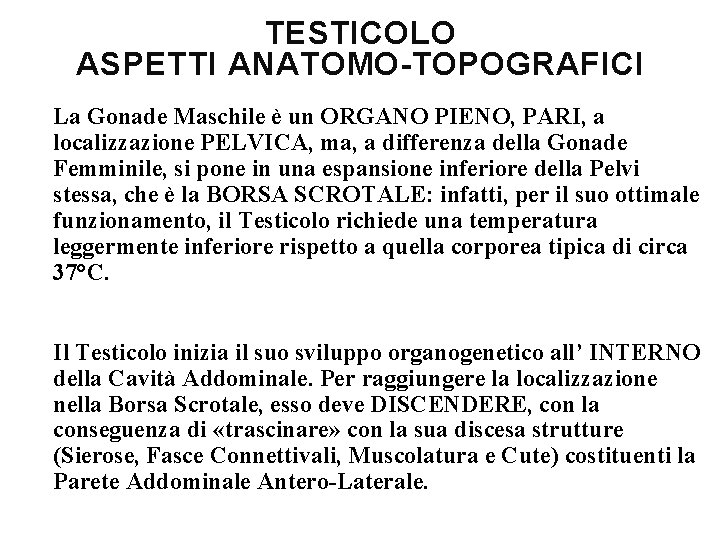 TESTICOLO ASPETTI ANATOMO-TOPOGRAFICI La Gonade Maschile è un ORGANO PIENO, PARI, a localizzazione PELVICA,
