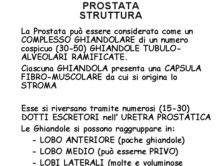 PROSTATA STRUTTURA La Prostata può essere considerata come un COMPLESSO GHIANDOLARE di un numero