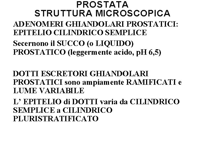 PROSTATA STRUTTURA MICROSCOPICA ADENOMERI GHIANDOLARI PROSTATICI: EPITELIO CILINDRICO SEMPLICE Secernono il SUCCO (o LIQUIDO)