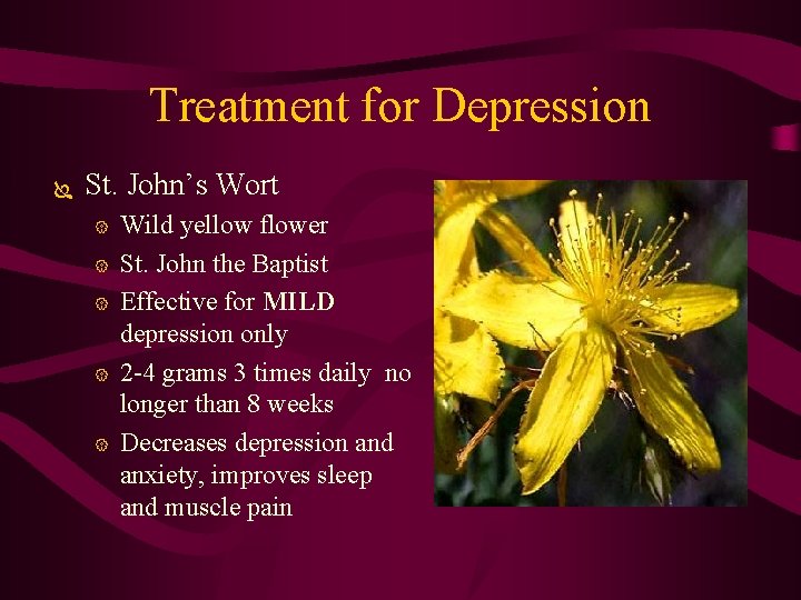 Treatment for Depression Ï St. John’s Wort { { { Wild yellow flower St.