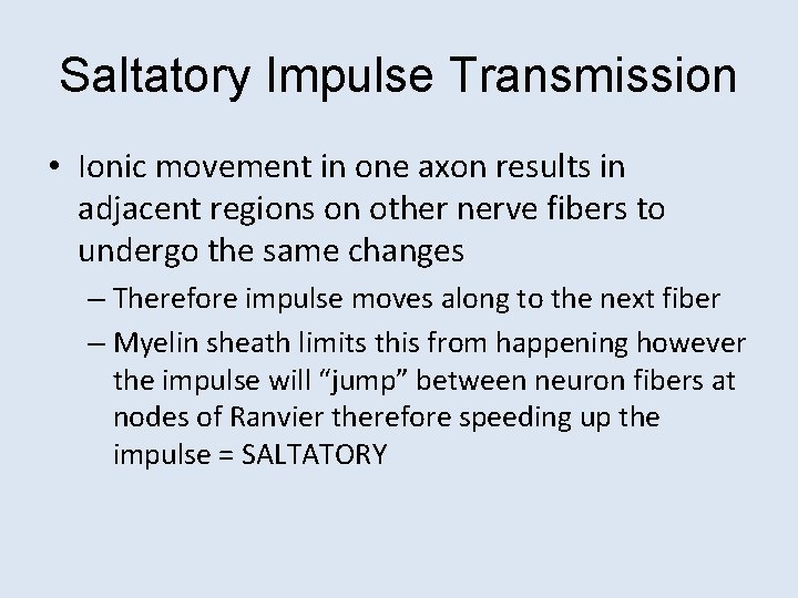 Saltatory Impulse Transmission • Ionic movement in one axon results in adjacent regions on