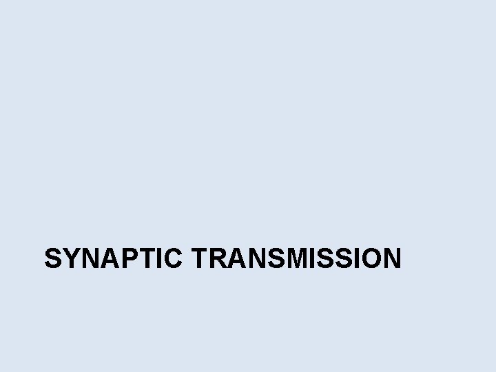 SYNAPTIC TRANSMISSION 