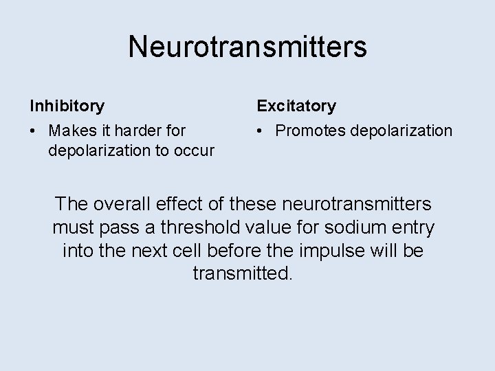 Neurotransmitters Inhibitory Excitatory • Makes it harder for depolarization to occur • Promotes depolarization