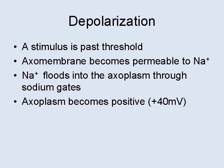 Depolarization • A stimulus is past threshold • Axomembrane becomes permeable to Na+ •