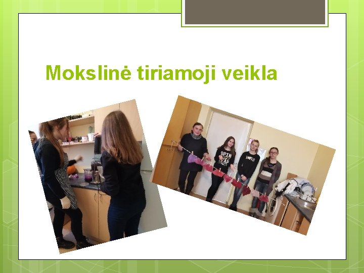 Mokslinė tiriamoji veikla 