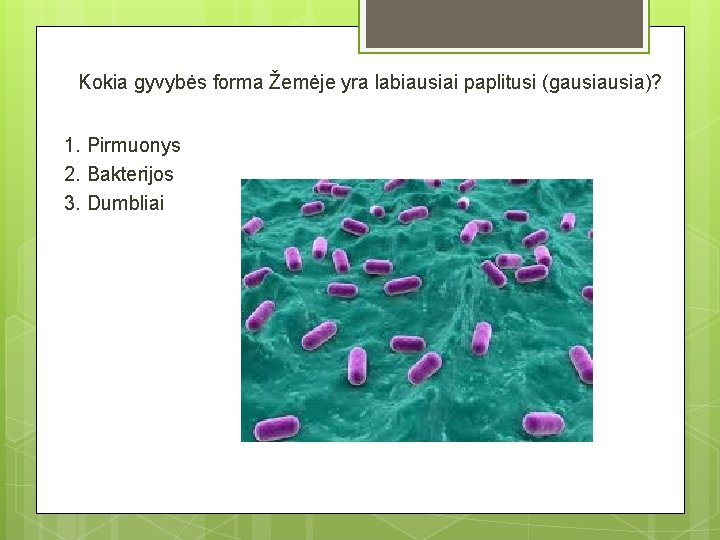 Kokia gyvybės forma Žemėje yra labiausiai paplitusi (gausia)? 1. Pirmuonys 2. Bakterijos 3. Dumbliai