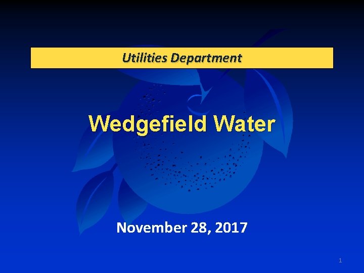 Utilities Department Wedgefield Water November 28, 2017 1 