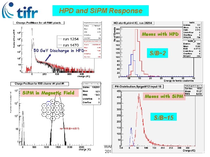 HPD and Si. PM Response Muons with HPD 50 Ge. V Discharge in HPD