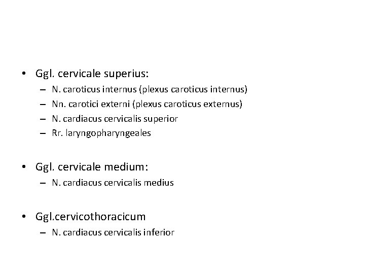  • Ggl. cervicale superius: – – N. caroticus internus (plexus caroticus internus) Nn.