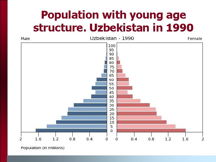 Population with young age structure. Uzbekistan in 1990 