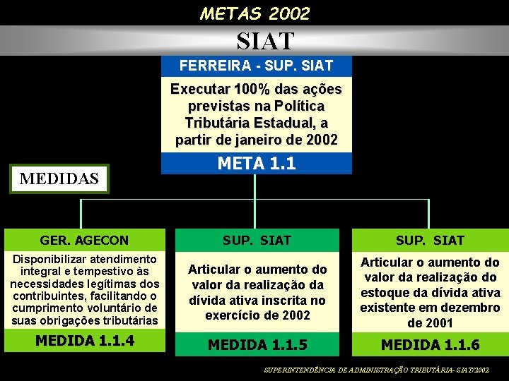 METAS 2002 SIAT FERREIRA - SUP. SIAT Executar 100% das ações previstas na Política