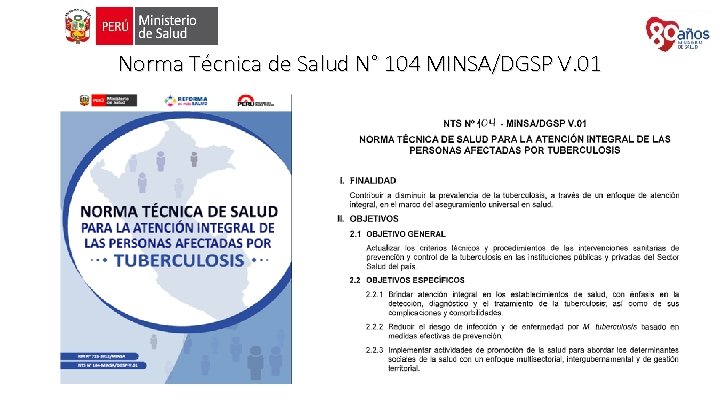 Norma Técnica de Salud N° 104 MINSA/DGSP V. 01 