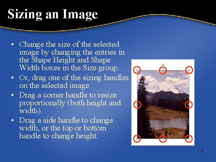 Sizing an Image • Change the size of the selected image by changing the
