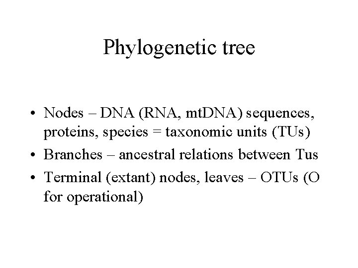 Phylogenetic tree • Nodes – DNA (RNA, mt. DNA) sequences, proteins, species = taxonomic