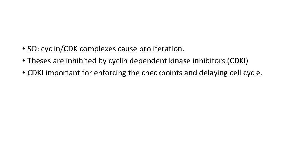  • SO: cyclin/CDK complexes cause proliferation. • Theses are inhibited by cyclin dependent