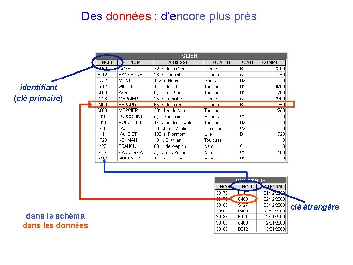 Des données : d’encore plus près identifiant (clé primaire) clé étrangère dans le schéma