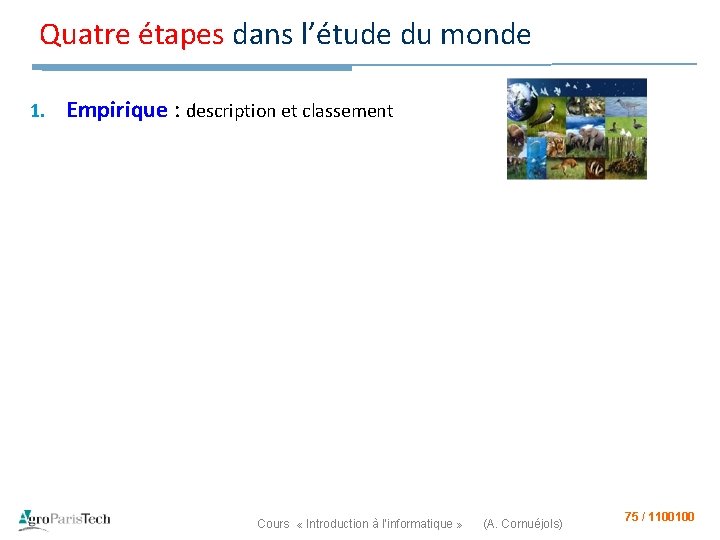 Quatre étapes dans l’étude du monde 1. Empirique : description et classement Cours «