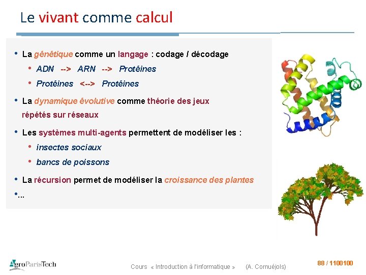 Le vivant comme calcul • La génétique comme un langage : codage / décodage