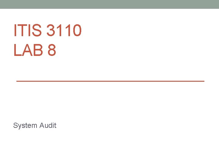 ITIS 3110 LAB 8 System Audit 