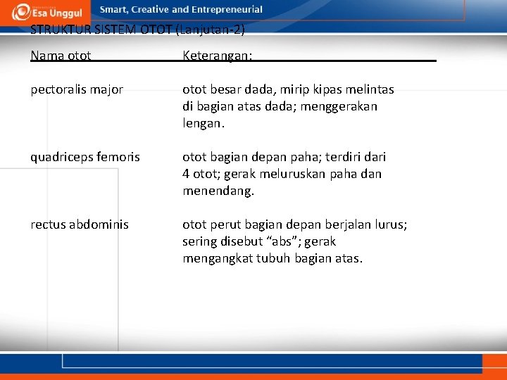 STRUKTUR SISTEM OTOT (Lanjutan-2) Nama otot Keterangan: pectoralis major otot besar dada, mirip kipas