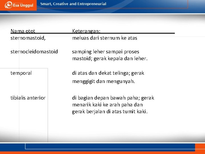 Nama otot sternomastoid, Keterangan: meluas dari sternum ke atas sternocleidomastoid samping leher sampai proses