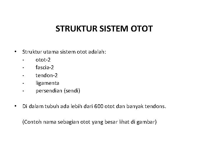 STRUKTUR SISTEM OTOT • Struktur utama sistem otot adalah: otot-2 fascia-2 tendon-2 ligamenta persendian