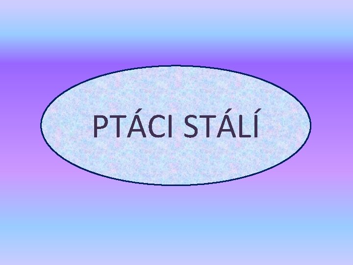 PTÁCI NA JAŘE PTÁCI STÁLÍ 