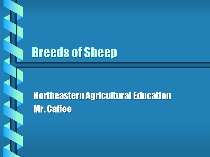 Breeds of Sheep Northeastern Agricultural Education Mr. Caffee 