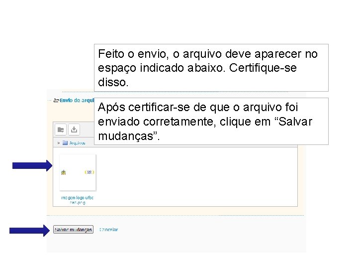 Feito o envio, o arquivo deve aparecer no espaço indicado abaixo. Certifique-se disso. Após