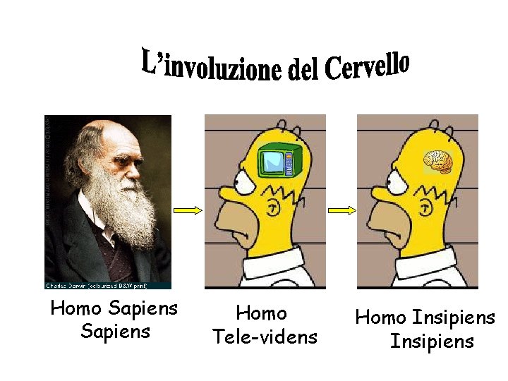 Homo Sapiens Homo Tele-videns Homo Insipiens 