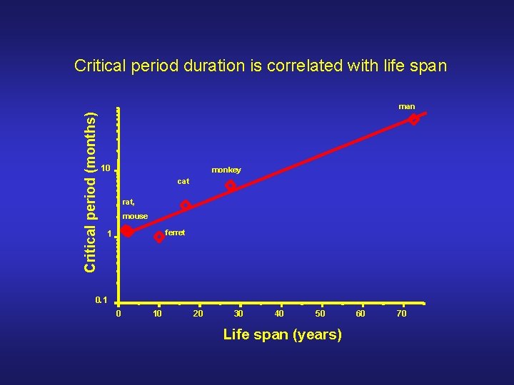 Critical period duration is correlated with life span Critical period (months) man 10 monkey