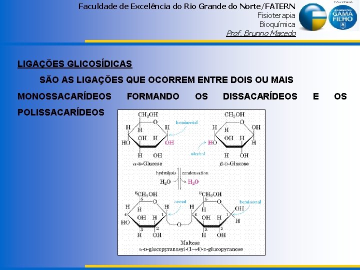 Faculdade de Excelência do Rio Grande do Norte/FATERN Fisioterapia Bioquímica Prof. Brunno Macedo LIGAÇÕES