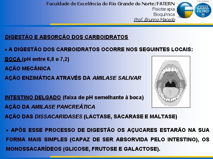 Faculdade de Excelência do Rio Grande do Norte/FATERN Fisioterapia Bioquímica Prof. Brunno Macedo DIGESTÃO