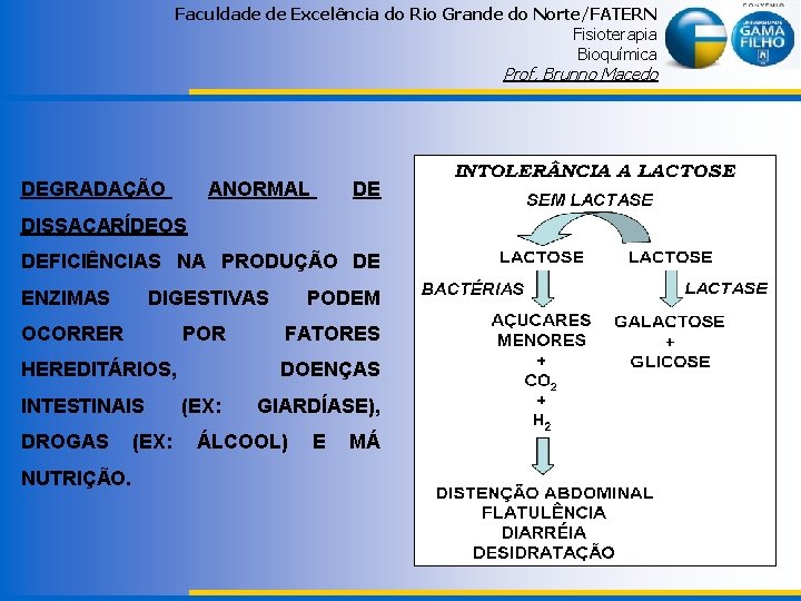 Faculdade de Excelência do Rio Grande do Norte/FATERN Fisioterapia Bioquímica Prof. Brunno Macedo DEGRADAÇÃO