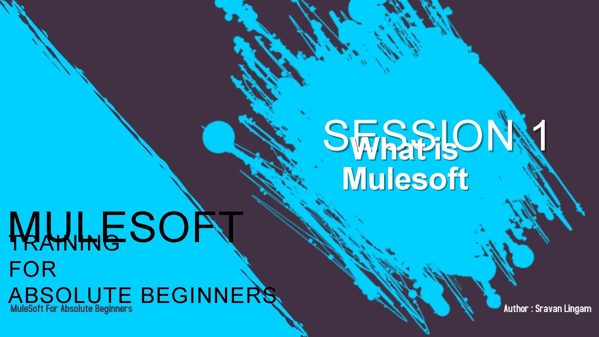 SESSION 1 What is Mulesoft MULESOFT TRAINING FOR ABSOLUTE BEGINNERS SESSION 1 What is Mulesoft MULESOFT TRAINING FOR ABSOLUTE BEGINNERS