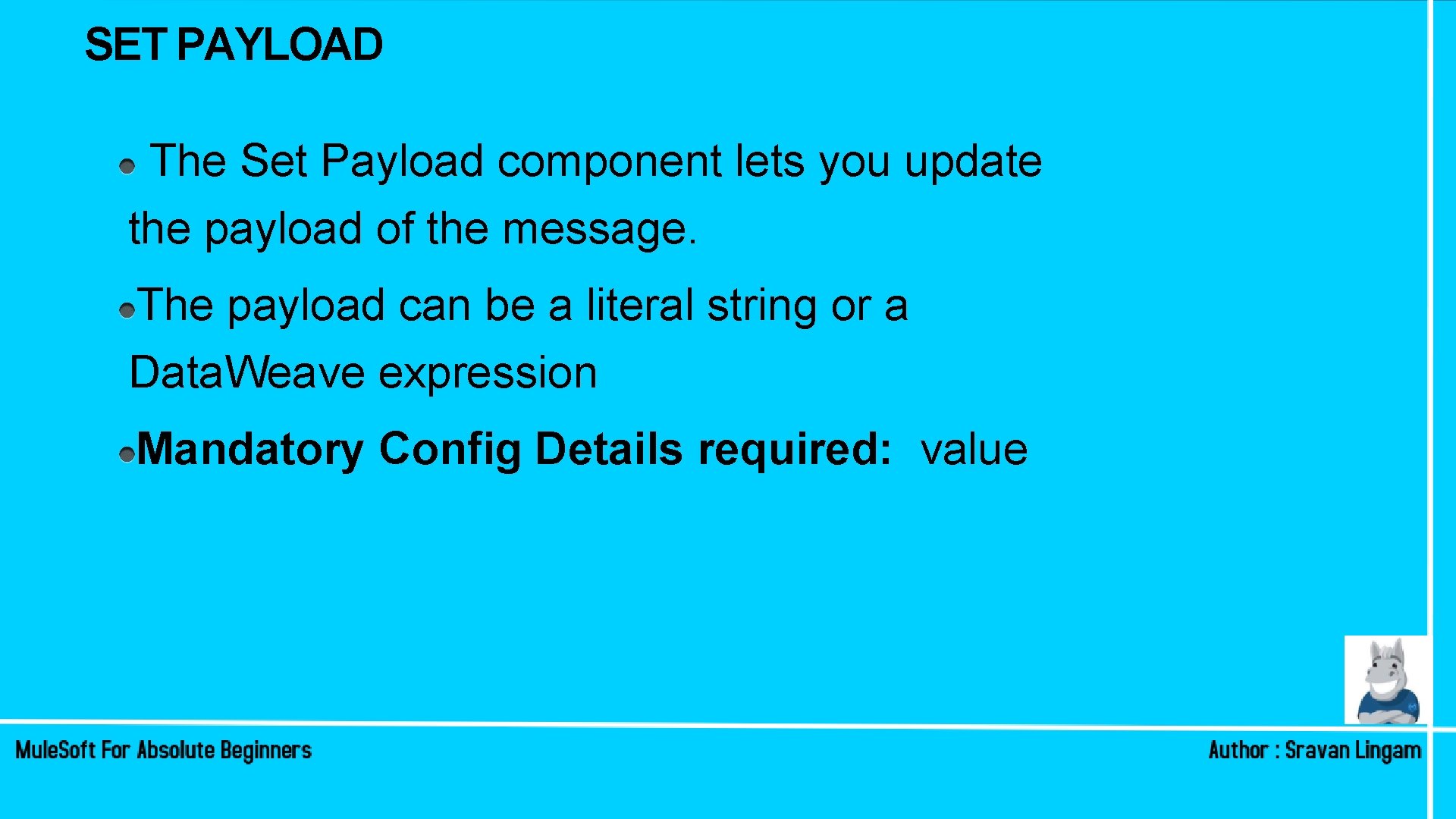 SET PAYLOAD The Set Payload component lets you update the payload of the message. SET PAYLOAD The Set Payload component lets you update the payload of the message.